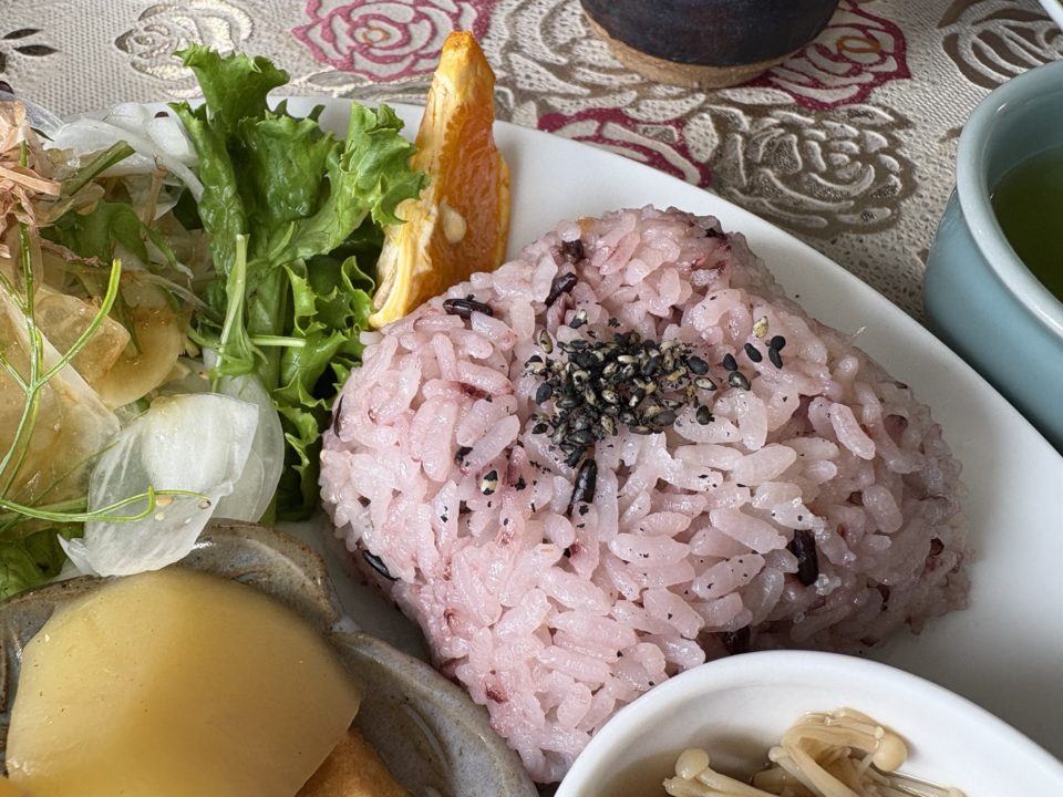 ★桜島オススメカフェランチ!「カフェしらはま」写真付きレビュー 完全オーガニック 鹿児島旅行 おすすめ cafeしらはま