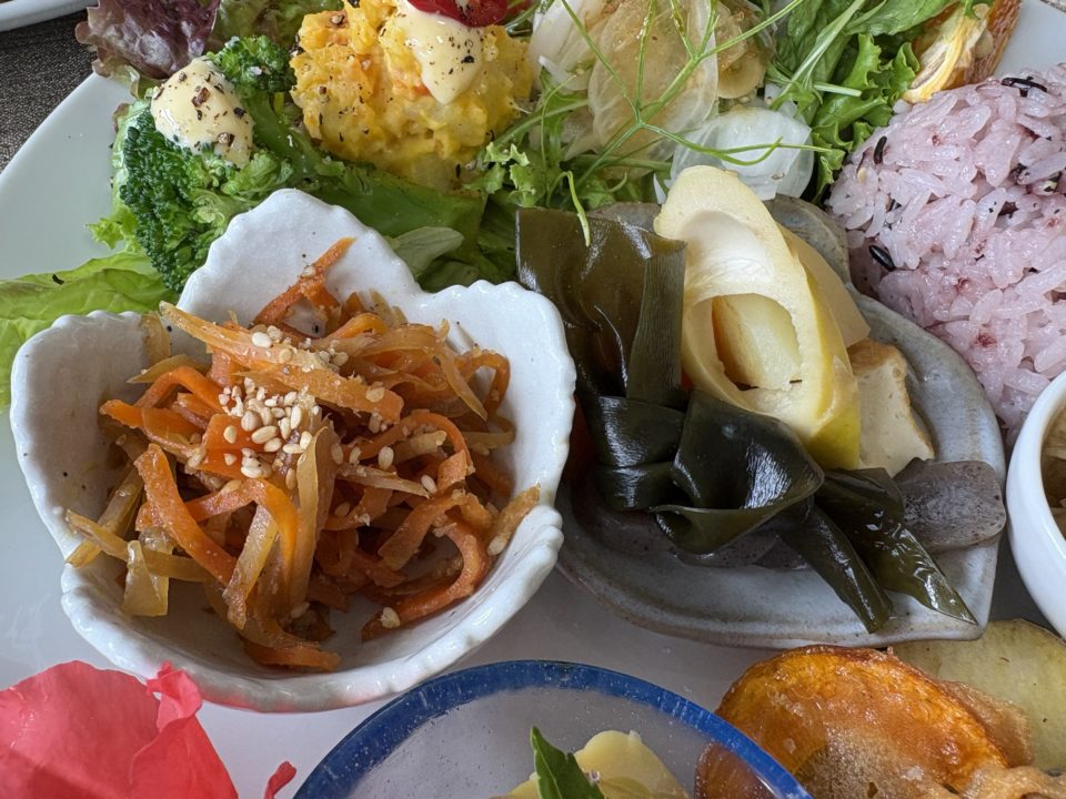 ★桜島オススメカフェランチ!「カフェしらはま」写真付きレビュー 完全オーガニック 鹿児島旅行 おすすめ cafeしらはま