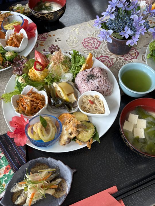 ★桜島オススメカフェランチ!「カフェしらはま」写真付きレビュー 完全オーガニック 鹿児島旅行 おすすめ cafeしらはま
