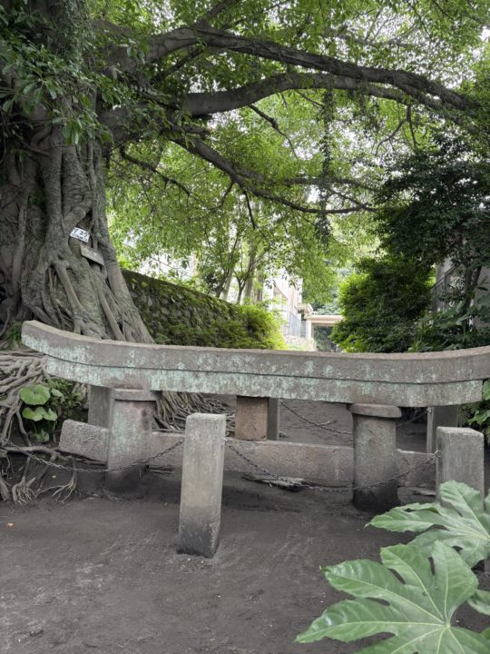 ★桜島にある「黒神埋没鳥居」写真付きレビュー 駐車場・トイレ情報も 鹿児島黒神神社