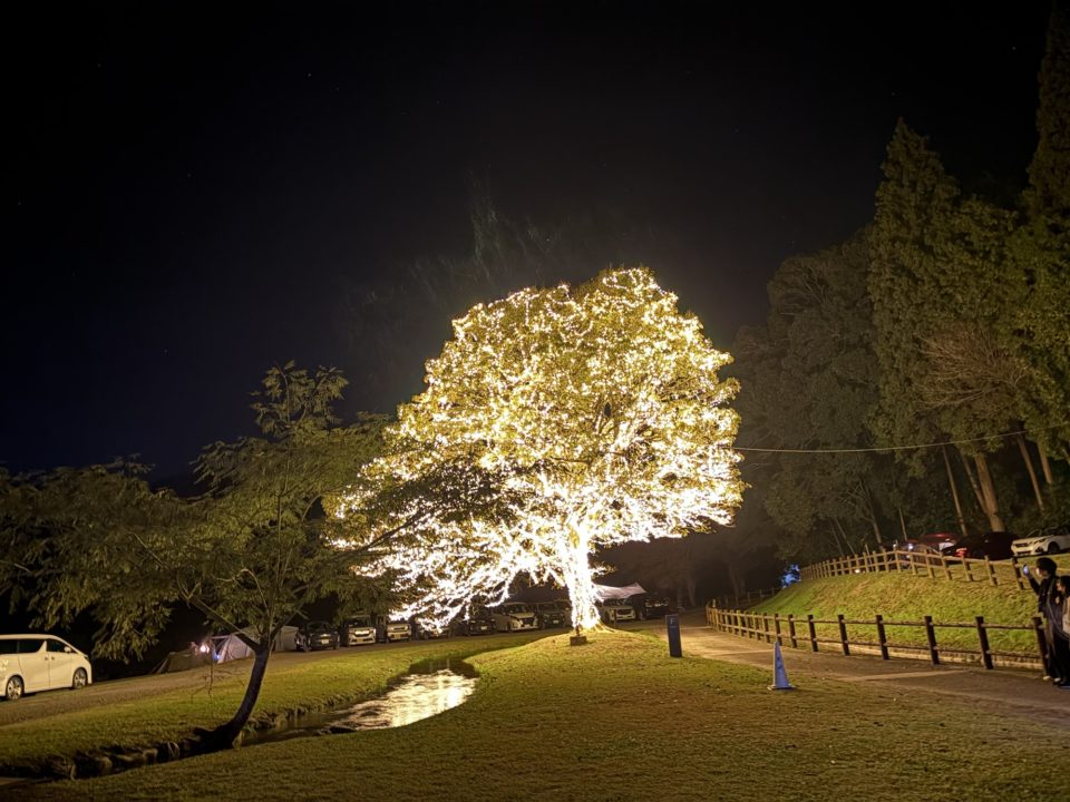 ★スノーピーク ストアイベント「イルミネーション点灯式」snowpeak 都城一大きいイルミネーションツリー!2月まで毎晩点灯!