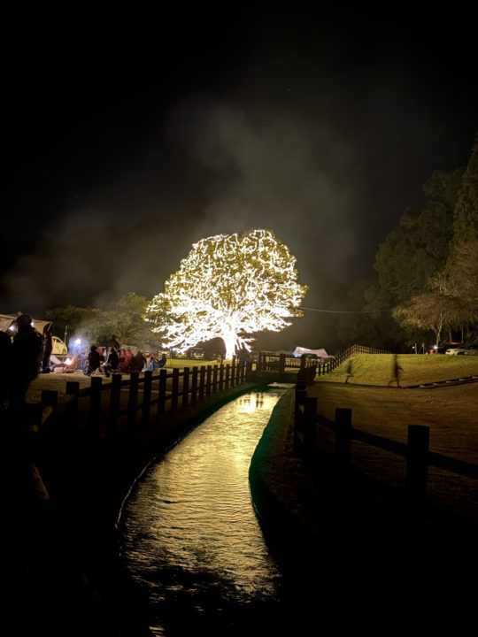 ★スノーピーク ストアイベント「イルミネーション点灯式」snowpeak 都城一大きいイルミネーションツリー!2月まで毎晩点灯!