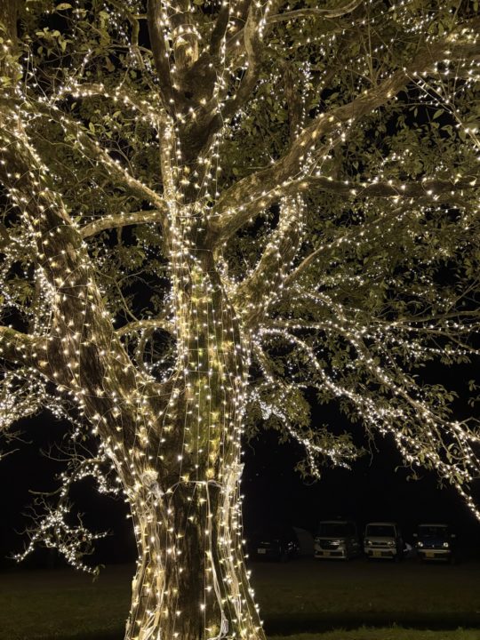 ★スノーピーク ストアイベント「イルミネーション点灯式」snowpeak 都城一大きいイルミネーションツリー!2月まで毎晩点灯!