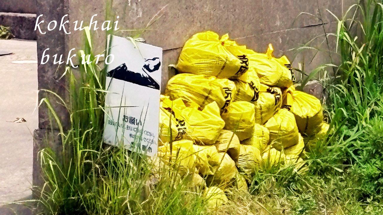 ★鹿児島に引っ越して知った「克灰袋」とは 活火山と共に生きる名前の由来に感動