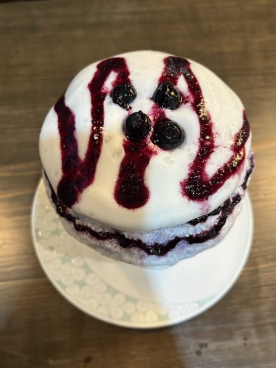 ★熊本のかき氷専門店「余白～yohaku～」湯らっくすや熊本城も楽しみながら、食べたメニューをレビューします！