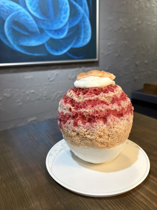 ★熊本のかき氷専門店「余白～yohaku～」湯らっくすや熊本城も楽しみながら、食べたメニューをレビューします！