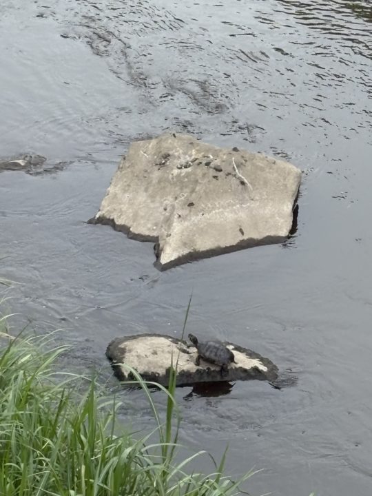 ★熊本城の圧倒的な広さと存在感にビックリ！地震の被害もうかがえる 熊本旅行で行くべき場所