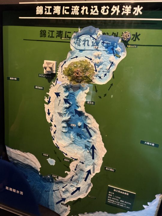 ★いおワールドかごしま水族館 写真付きレビュー ジンベエザメに美しい魚やくらげも素敵！キレイがたくさん！鹿児島旅行でぜひ！