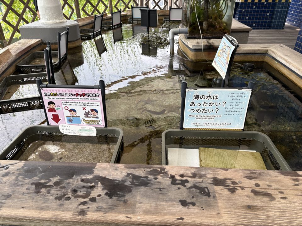 ★いおワールドかごしま水族館 写真付きレビュー ジンベエザメに美しい魚やくらげも素敵！キレイがたくさん！鹿児島旅行でぜひ！