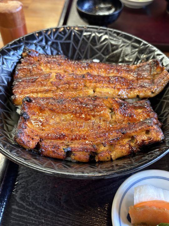 ★義父母も連れてった!鹿児島旅行に来たら食べてもらいたい!うなぎの「松重(まつじゅう)」うな丼と肝!写真付きレビュー