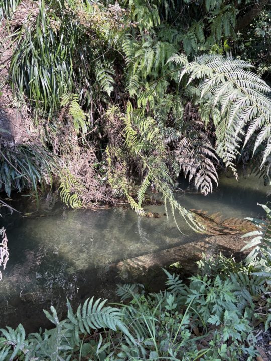 ★関之尾滝 日本の滝百選に納得!昼は水しぶき、夜は夜景がすごい! スノーピーク都城からも歩いて行けます!@宮崎県都城市