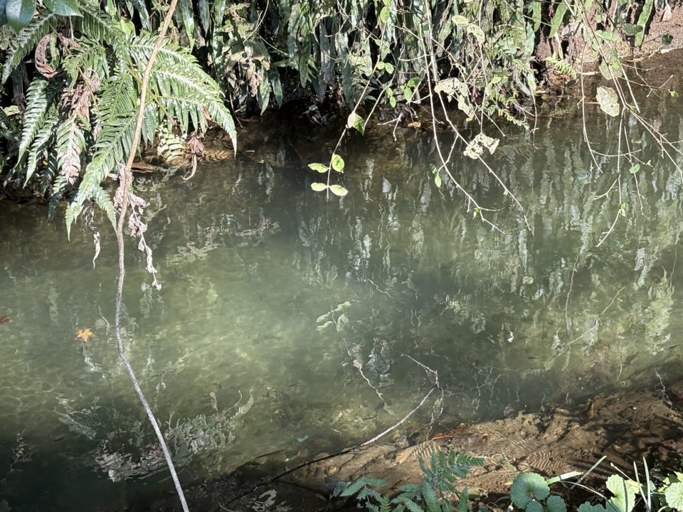 ★関之尾滝 日本の滝百選に納得!昼は水しぶき、夜は夜景がすごい! スノーピーク都城からも歩いて行けます!@宮崎県都城市