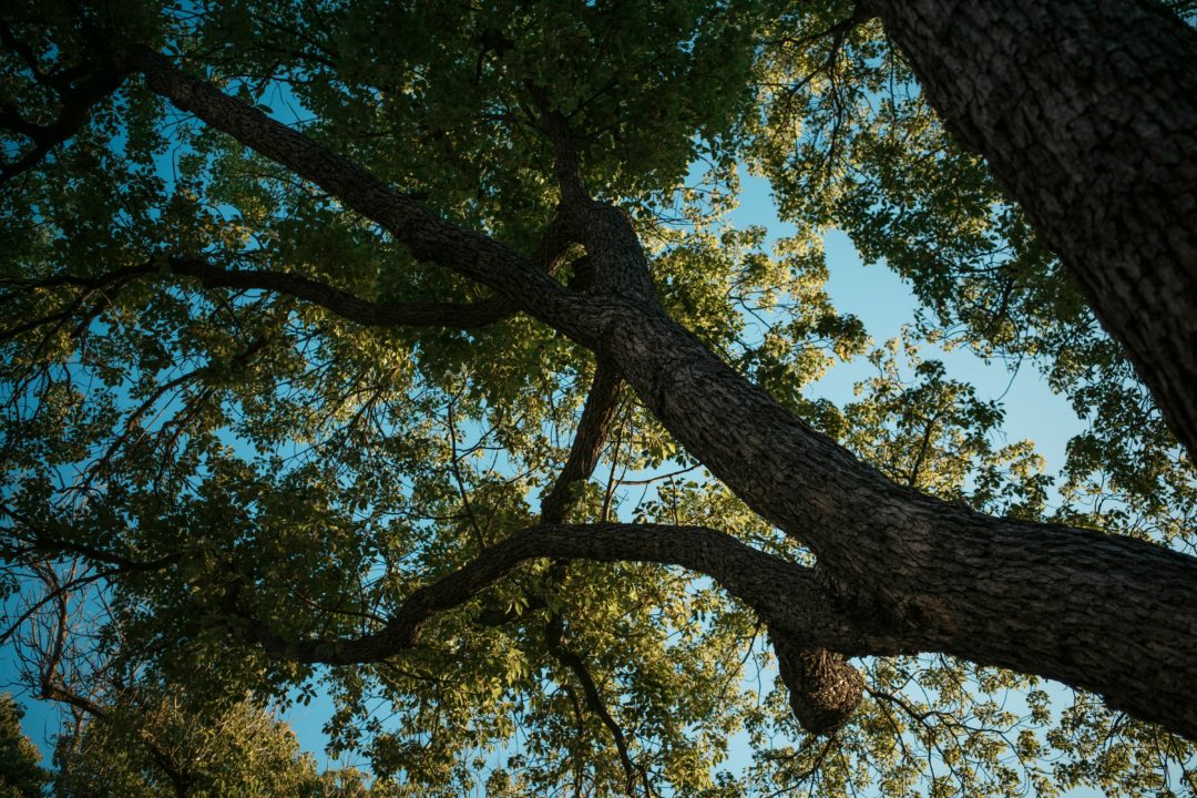 ドラマ再会2026考察