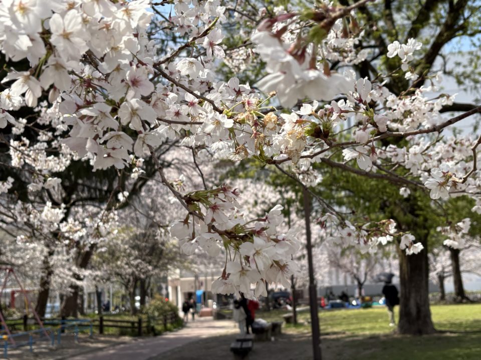 転勤族の暮らし 初九州上陸！仙台から鹿児島に引っ越し途中、博多での１泊 福岡の風景を楽しむ！