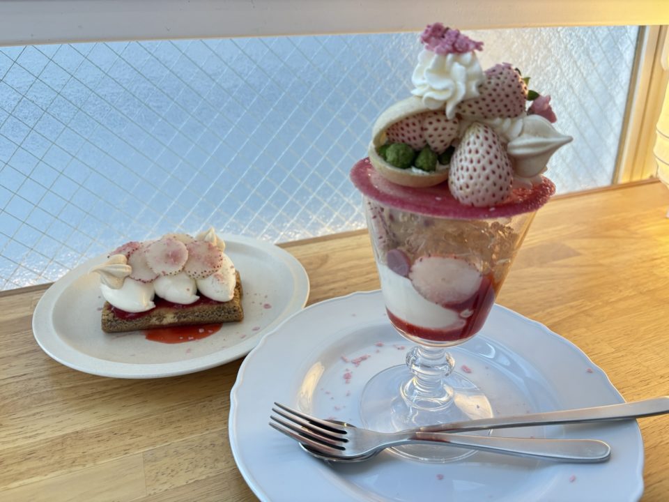 博多に行ったらこのお店に行く！と決めていたスイーツ店でおいしすぎるパフェとケーキを堪能！カフェ 福岡 旅行 ポラリス「Polaris」