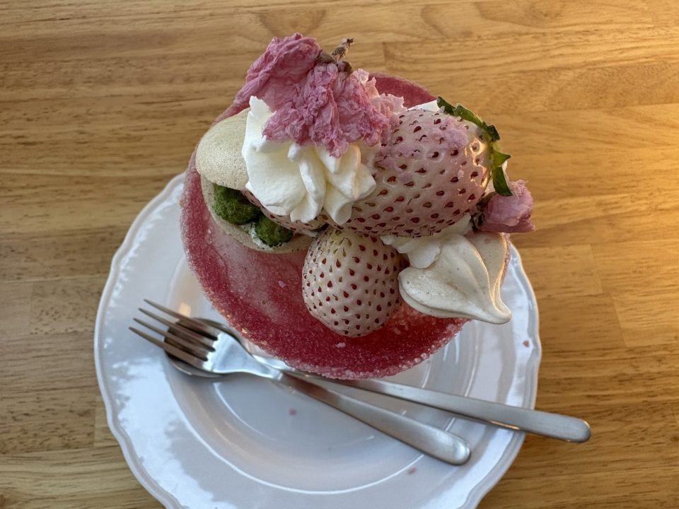 博多に行ったらこのお店に行く！と決めていたスイーツ店でおいしすぎるパフェとケーキを堪能！カフェ 福岡 旅行 ポラリス「Polaris」