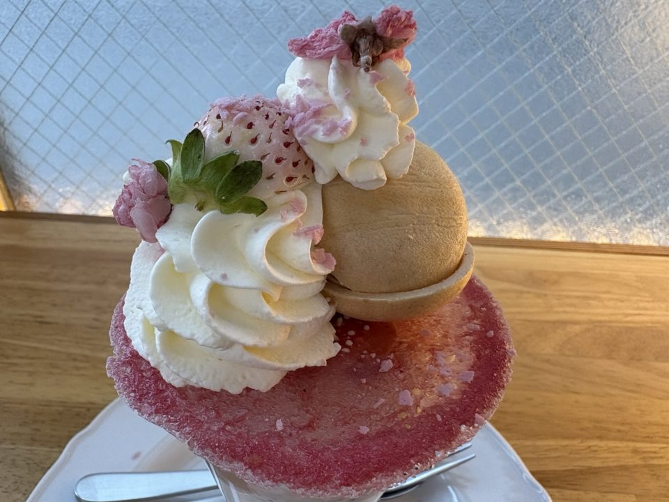 博多に行ったらこのお店に行く！と決めていたスイーツ店でおいしすぎるパフェとケーキを堪能！カフェ 福岡 旅行 ポラリス「Polaris」