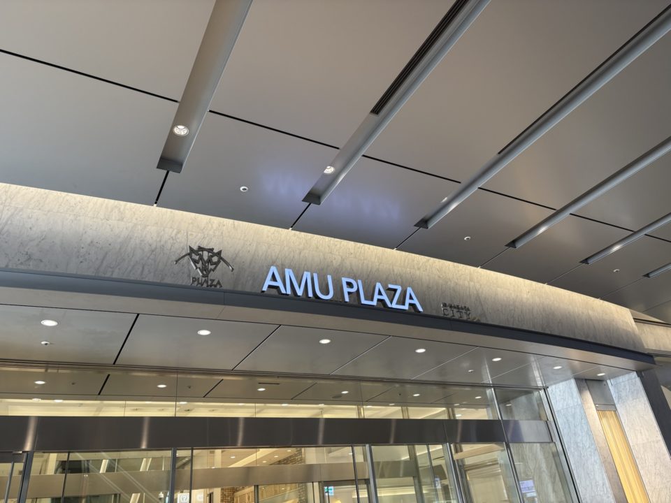 転勤族の暮らし 初九州上陸！仙台から鹿児島に引っ越し途中、博多での１泊 福岡の風景を楽しむ！