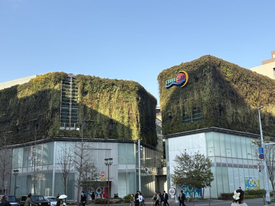 転勤族の暮らし 初九州上陸！仙台から鹿児島に引っ越し途中、博多での１泊 福岡の風景を楽しむ！