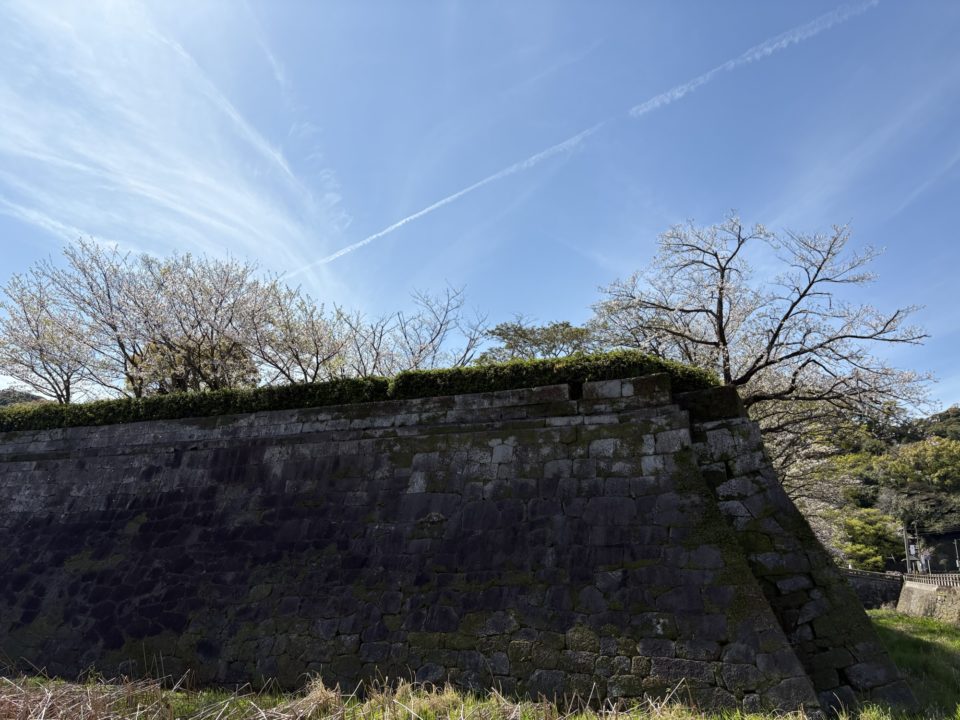 鹿児島（鶴丸）城跡 堀のハスの群生 西南戦争弾跡 イルミネーション おすすめ夜景 鹿児島城跡 鶴丸城跡