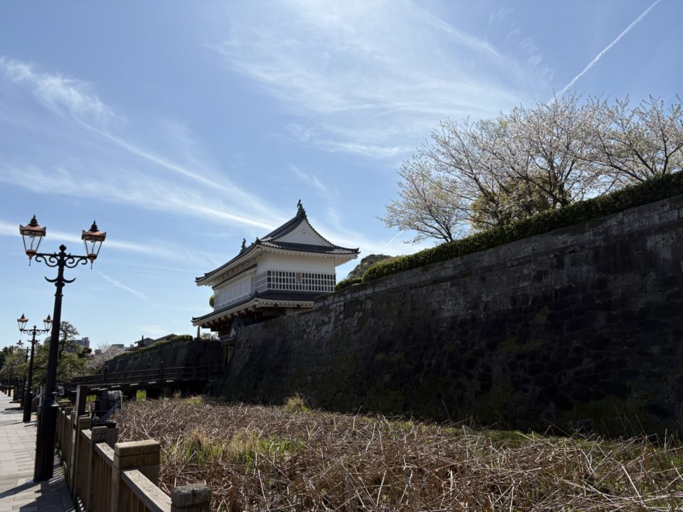 鹿児島（鶴丸）城跡 堀のハスの群生 西南戦争弾跡 イルミネーション おすすめ夜景 鹿児島城跡 鶴丸城跡