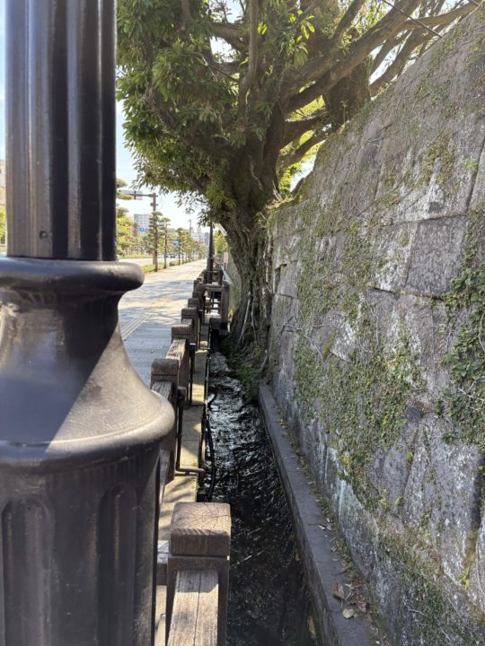 鹿児島（鶴丸）城跡 堀のハスの群生 西南戦争弾跡 イルミネーション おすすめ夜景 鹿児島城跡 鶴丸城跡