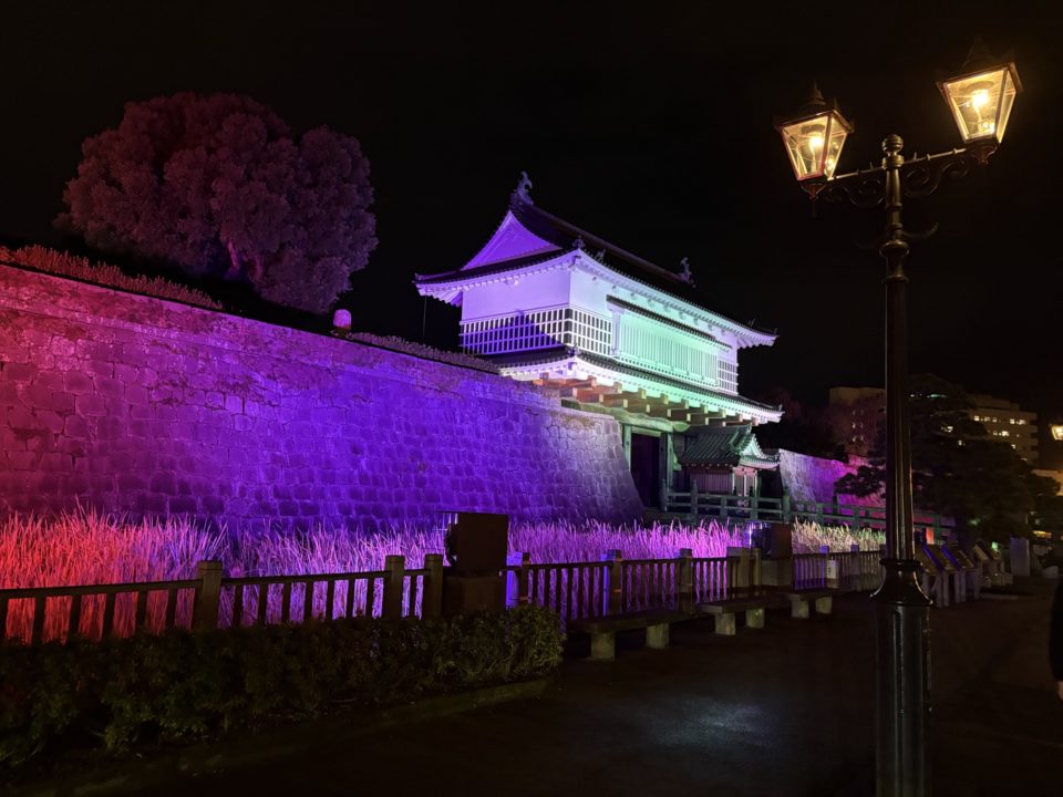 鹿児島（鶴丸）城跡 堀のハスの群生 西南戦争弾跡 イルミネーション おすすめ夜景 鹿児島城跡 鶴丸城跡