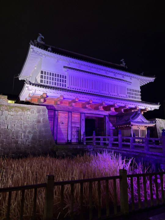 鹿児島（鶴丸）城跡 堀のハスの群生 西南戦争弾跡 イルミネーション おすすめ夜景 鹿児島城跡 鶴丸城跡