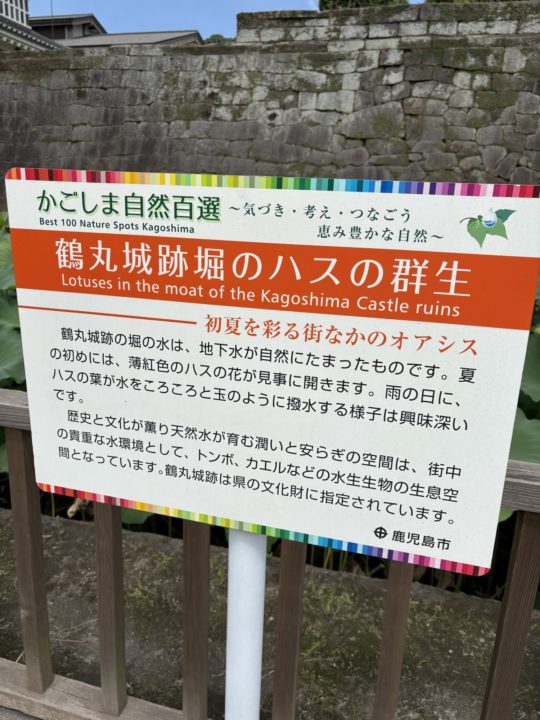 鹿児島（鶴丸）城跡 堀のハスの群生 西南戦争弾跡 イルミネーション おすすめ夜景 鹿児島城跡 鶴丸城跡