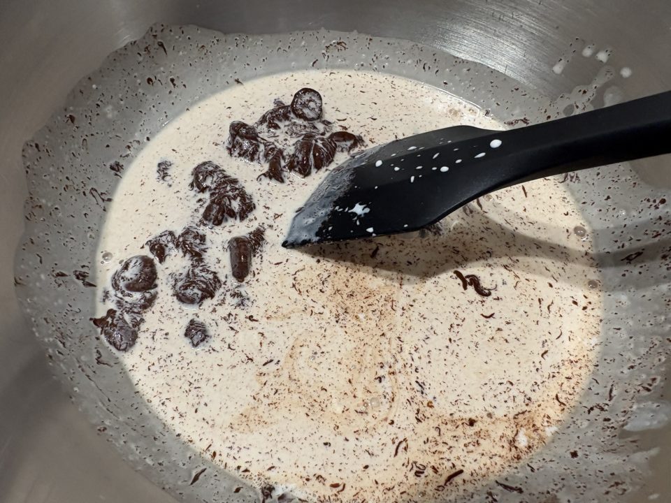 シンプルでおいしい！チョコレートアイスクリームの作り方 レシピ 食べた感想 アイスクリームメーカー かんたん 簡単