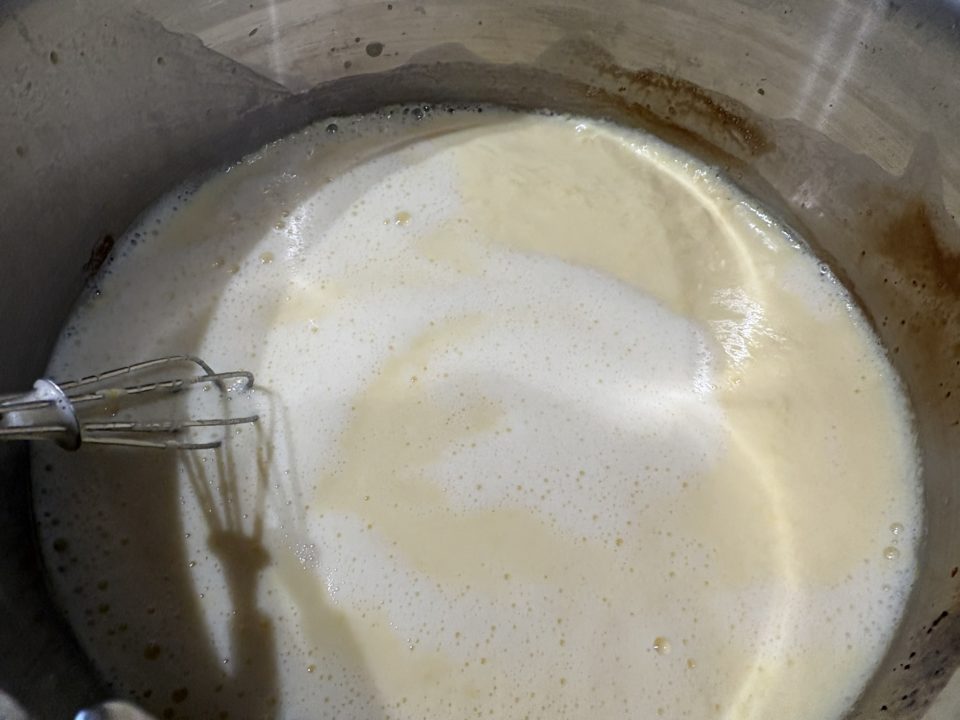 シンプルでおいしい！チョコレートアイスクリームの作り方 レシピ 食べた感想 アイスクリームメーカー かんたん 簡単