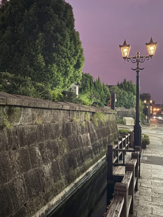 鹿児島おすすめ夜景 西郷隆盛像 城山ガス燈 かごしまメルヘン館 鹿児島市立美術館 シェラトン鹿児島 イルミネーション