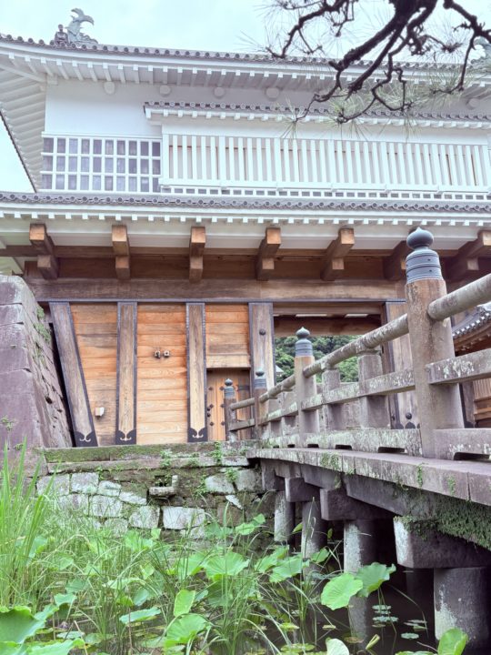 鹿児島（鶴丸）城跡 堀のハスの群生 西南戦争弾跡 イルミネーション おすすめ夜景 鹿児島城跡 鶴丸城跡