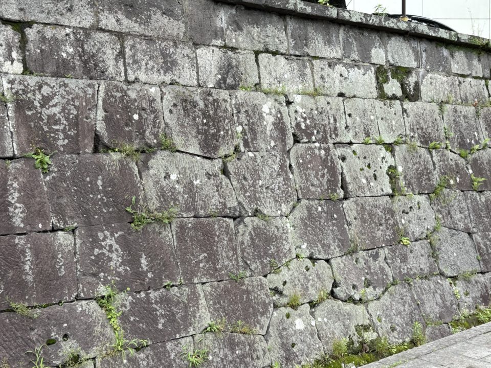 鹿児島（鶴丸）城跡 堀のハスの群生 西南戦争弾跡 イルミネーション おすすめ夜景 鹿児島城跡 鶴丸城跡