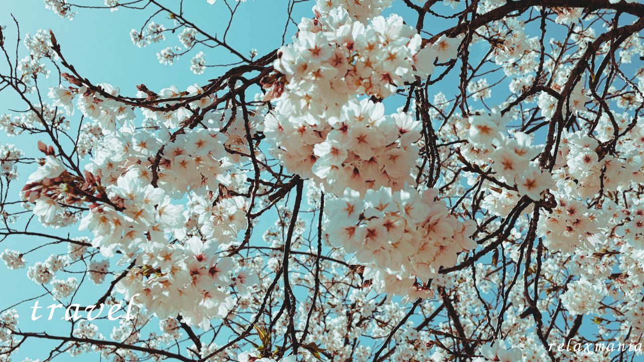 転勤族の暮らし 初めての引越し旅行 仙台から鹿児島へ 博多で一泊 荷物待ちの間はホテルステイ